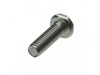 16391819-2-S-Ryobi-660211002-Screw (M3 X 10 mm)