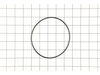 O-Ring – Part Number: 9250112000