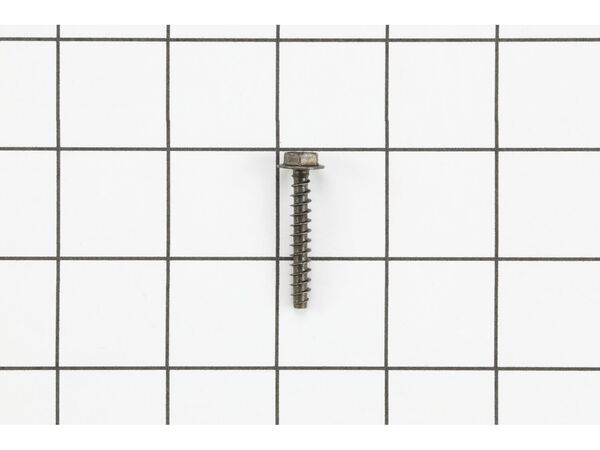 16489967-1-M-Cub Cadet-BS-698425-Screw (Rotating Screen)