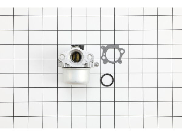 16490321-1-M-MTD-BS-799868-Carburetor Asm