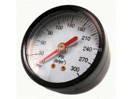 16497488-1-M-Husky-D21929-Gauge 2 Od 300psi .1
