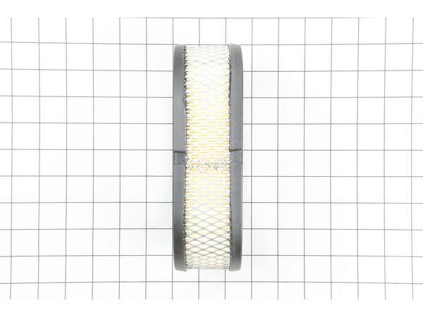 16525589-1-M-Cub Cadet-ME-140-3010-Filter, Air