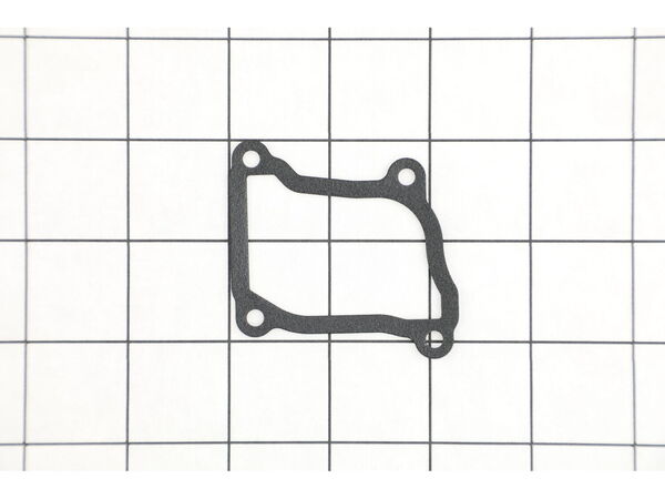 16534911-1-M-Echo-V103002000-Gasket