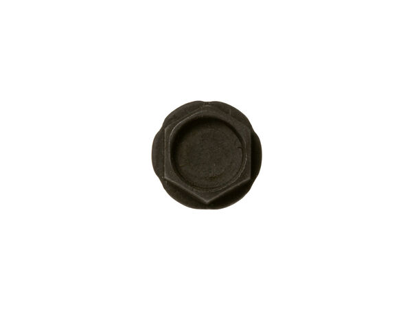 16542022-1-M-GE-WB01X37587-Screw