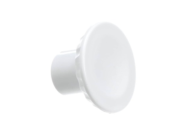16542749-1-M-GE-WR01X36306-DRAIN PLUG EXTERIOR