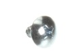 16555399-3-S-Frigidaire-316021137-SCREW