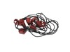 16555708-2-S-Frigidaire-5304529251-HARNESS ASSEMBLY