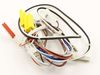Wire harness – Part Number: F030A9R30AP
