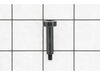Clutch Screw – Part Number: 339621