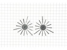 Side Brushes, 2/pk, Drc200z – Part Number: SH00000065