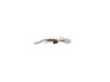 HARNS-WIRE – Part Number: W11546681