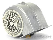 BLOWER MOTOR – Part Number: 10019409