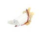 16625358-2-S-Samsung-DC31-00193A-DC Pump Motor