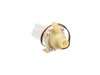 16625358-3-S-Samsung-DC31-00193A-DC Pump Motor