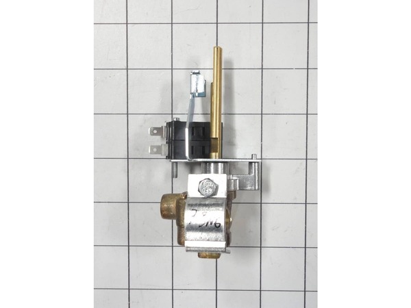 16630463-1-M-Samsung-DE81-06675A-Service Dual Valve Assembly