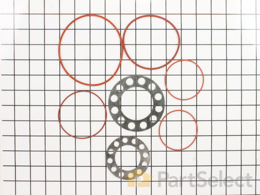16630876-1-M-Samsung-DE81-07256A-SVC-O RING SET PGM KIT;66799,PGM304-1B/L