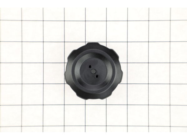 16669101-1-M-Ryobi-317176001-Tank Cap Assembly