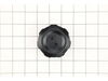 Tank Cap Assembly – Part Number: 317176001