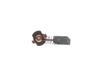 16687899-2-S-DeWALT-N558583-Carbon Brush