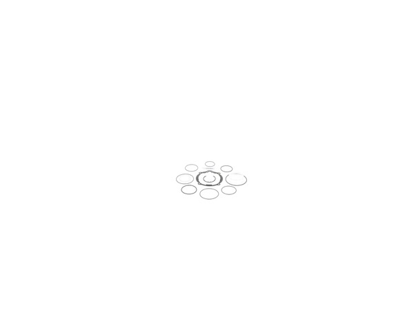 16688025-1-M-DeWALT-N566195-O-ring Kit