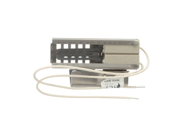 16736055-1-M-Samsung-DE81-10621A-Igniter Assembly