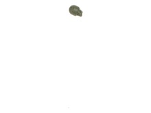 Plug Seal – Part Number: 563788001