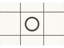 O-Ring – Part Number: 125119
