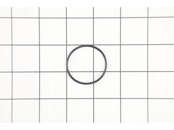 16869700-1-M-Chicago Pneumatic-658.242-O Ring B19m