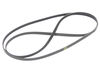 BELT 2010 H7 – Part Number: W11661103