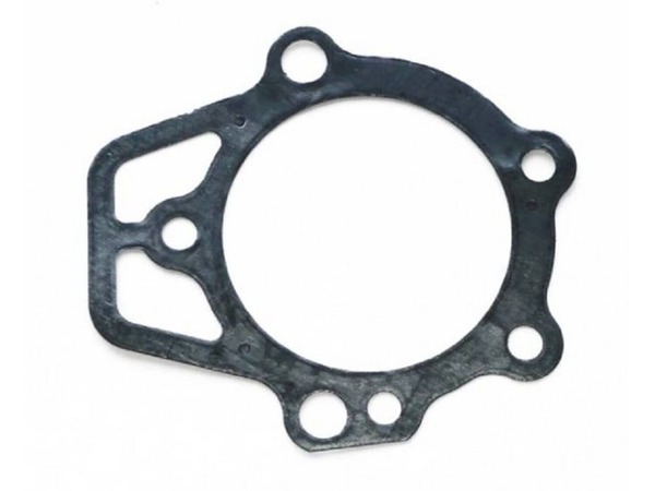 16983154-1-M-Generac-21704-Gasket