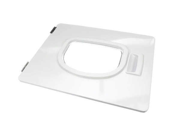 17001191-1-M-Maytag-D516737W-Door assembly