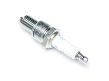 Plug- Spark – Part Number: 21563037
