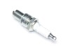 Plug- Spark – Part Number: 21563037
