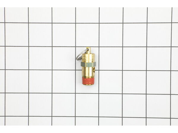 17054166-1-M-DeWALT-5140229-06-SAFETY VALVE
