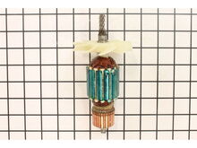 Armature 120V – Part Number: 53298651010