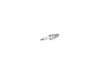 Spark Arrester – Part Number: 591166001