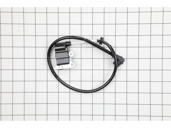 17089463-1-M-Husqvarna-596813001-Ignition Module Assembly