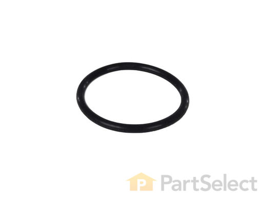 17216065-1-M-Whirlpool-W11673307-O-RING, CAP - FILTER