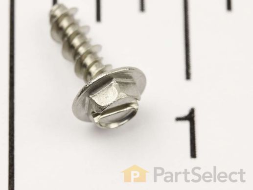 17216993-1-M-Whirlpool-W11700520-SCREW