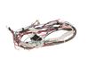 17216999-2-S-Whirlpool-W11700548-HARNS-WIRE