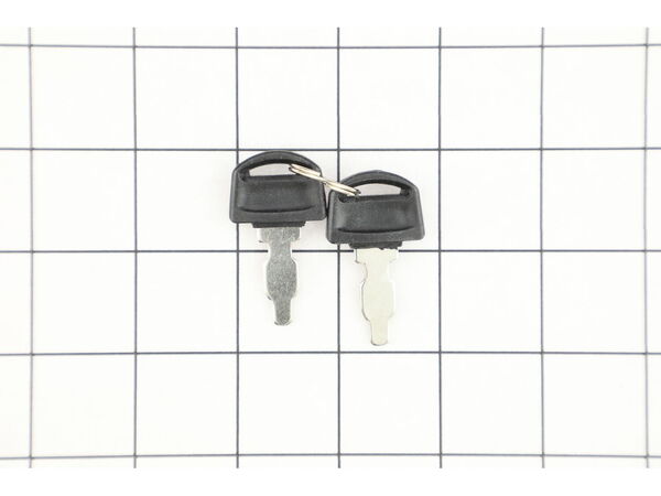 17574764-1-M-Briggs and Stratton-704051-KEY SET