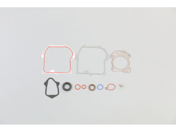 17578937-1-M-Briggs and Stratton-84006591-Set, Engine Gasket