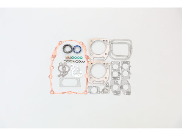 17579029-1-M-Briggs and Stratton-84006735-Gasket Set, Engine