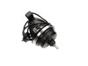 17581270-3-S-Hamilton Beach-925007100-Motor