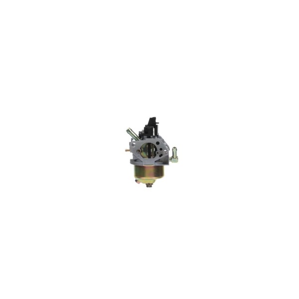 17602853-1-M-MTD-651P05995-Carburetor Asm 675