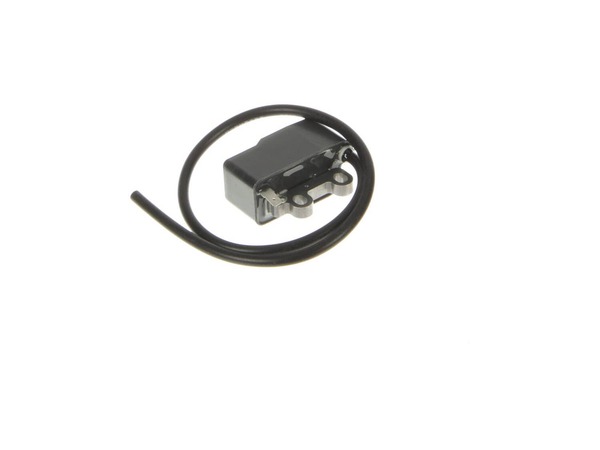 17606247-1-M-Echo-A411001621-Coil, Ignition