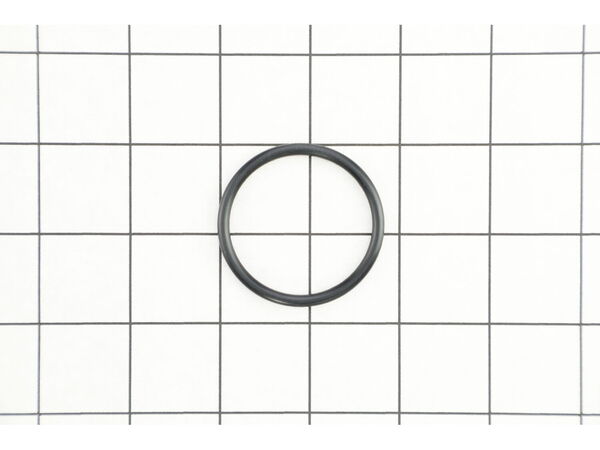 17606774-1-M-Max-CN38226-O-Ring 1Bp40