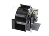 Motor – Part Number: A490Y3050GPR