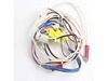 Spark Ignition Switch And Harness – Part Number: F030A7B80AP