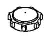 Cap.Fuel.2 W – Part Number: 581176101-CM